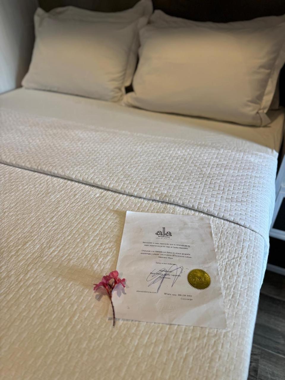 Hotel "Ala Residencias" เชตุมัล ภายนอก รูปภาพ
